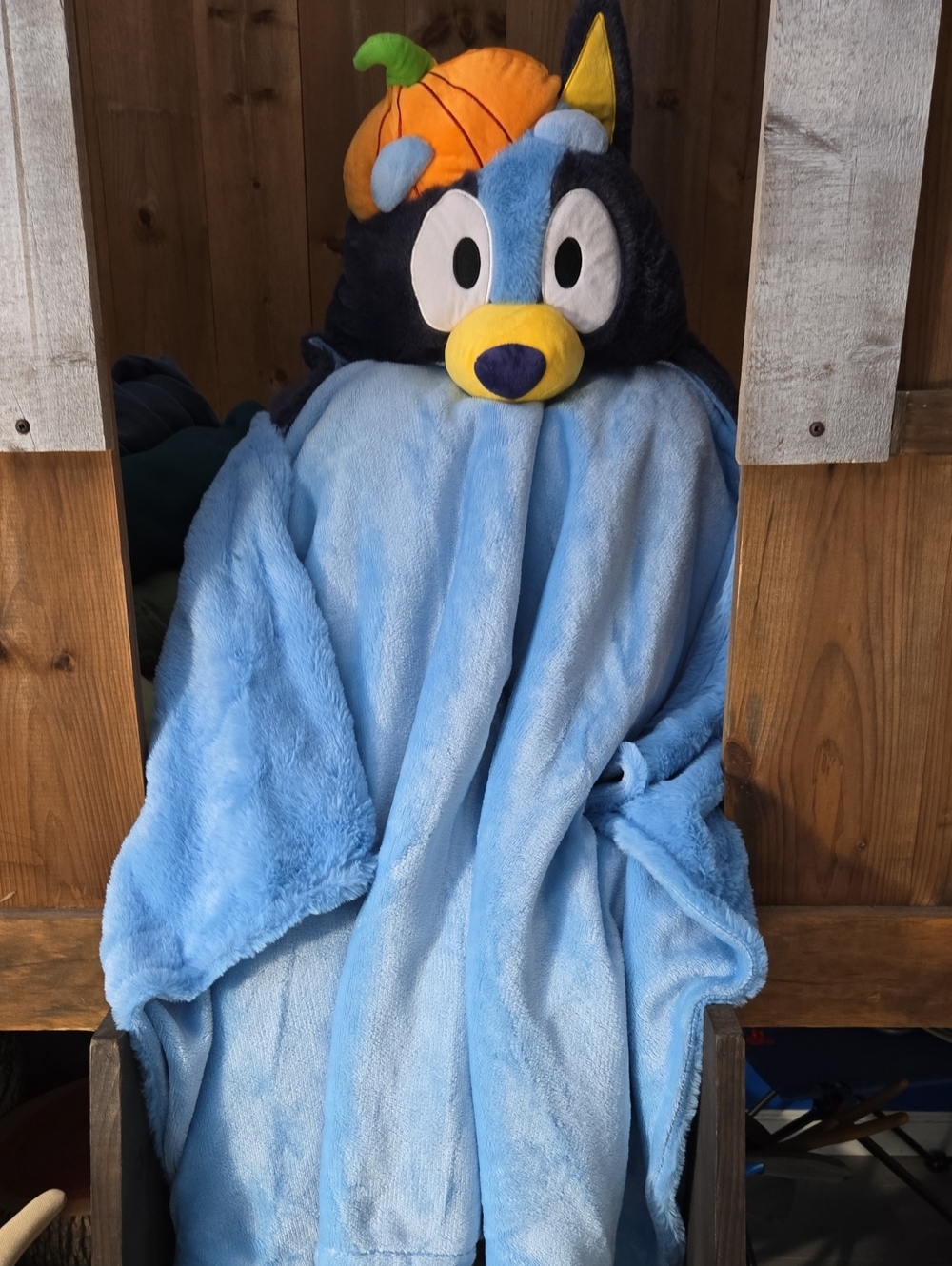 Bluey Character Hooded Blanket